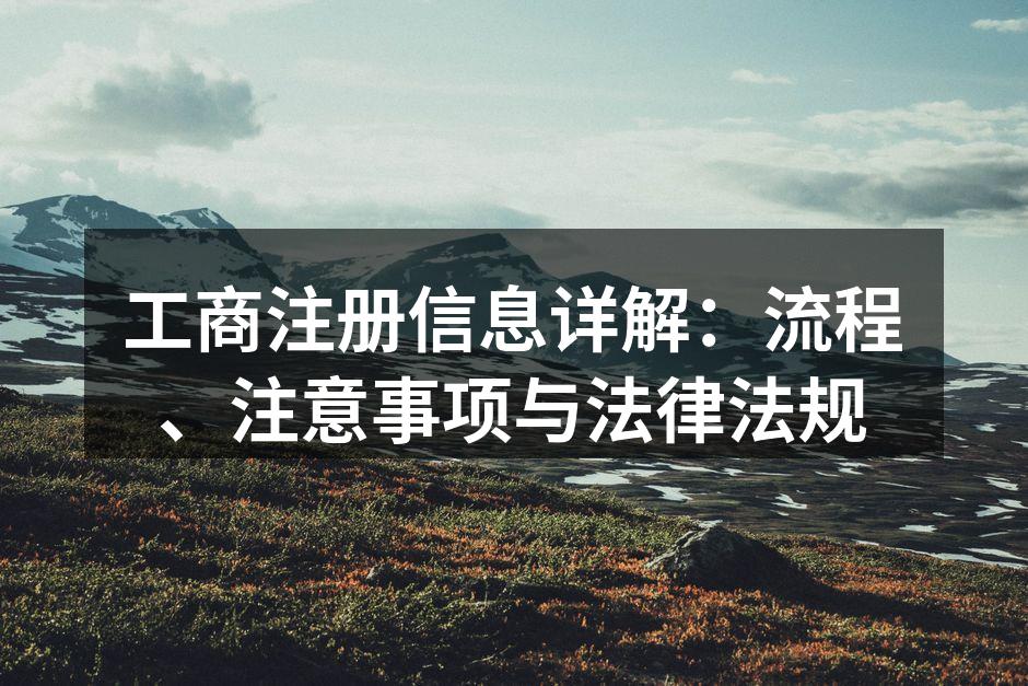 工商注册信息详解：流程、注意事项与法律法规